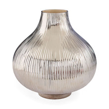  Limited Edition: Giant Amaryllis Vase