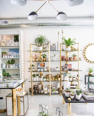 StyleDemocracy: 10 of the Best Designed Stores in Toronto