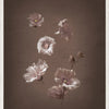 Flor Art Set/2