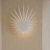 Frond Sconce