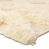 Matter Shag Rug