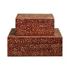 Sienna Box Set