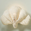 Tala Sconce
