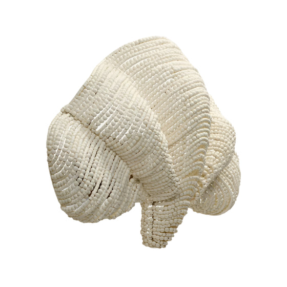 Tala Sconce